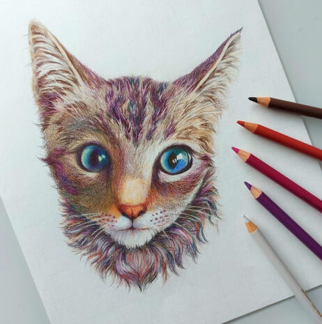 Cat - Personal artwork