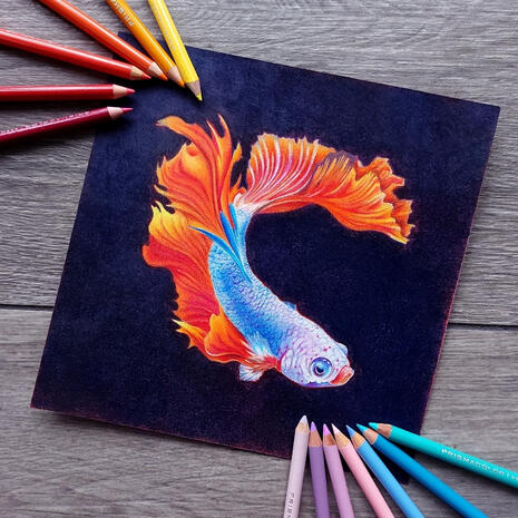 Betta fish - Personal artwork