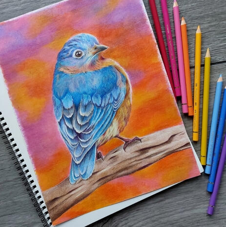 Bluebird - Personal artwork