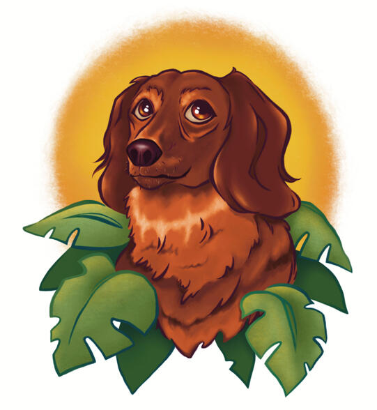 Commission work pet portrait